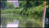 Imagine atasata: Bega-Blvd-BBT-Mai-2012-10.JPG